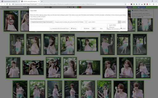 ImageAssistant Batch Image Downloader