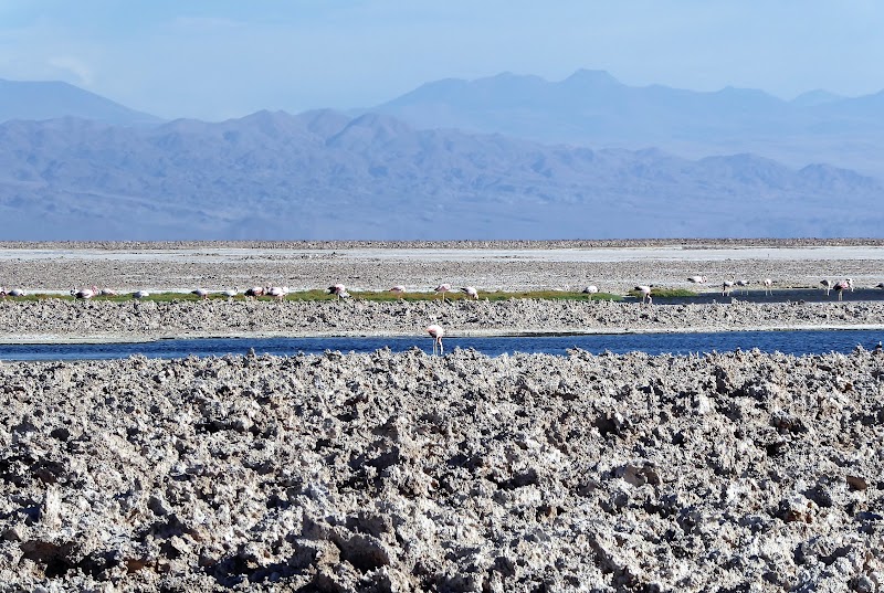 LAGUNAS ALTIPLANICAS Y SALAR DE ATACAMA - CHILE: Atacama ( con extensión a Uyuni) y Carretera Austral (24)