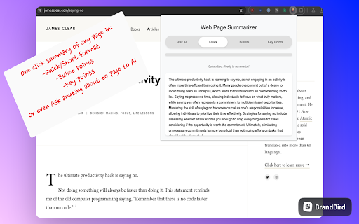 ChatGPT Webpage Summarizer