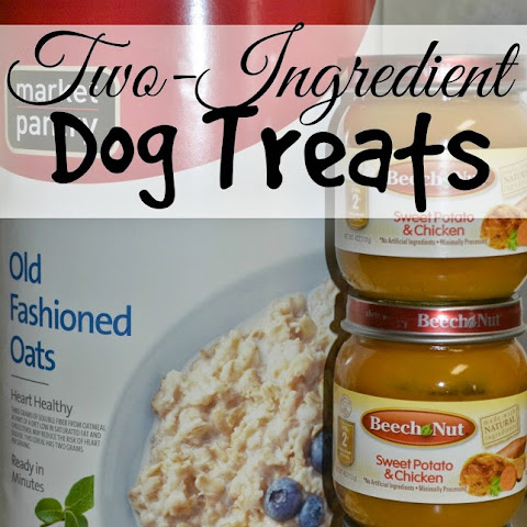 10 Best Healthy Low Calorie Treats For Dogs Recipes | Yummly