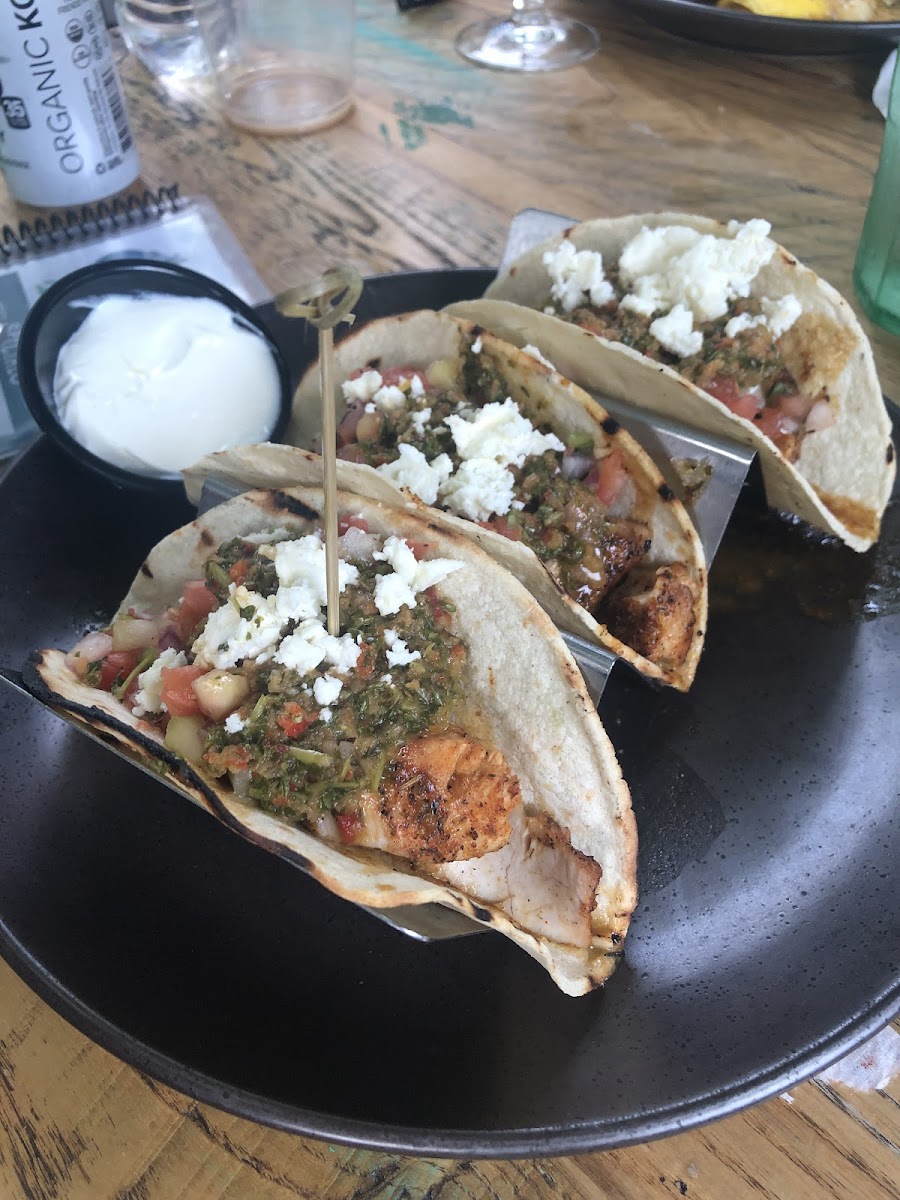 Gluten-Free Tacos at Moondog Cafe