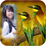 Cover Image of Unduh Bird Photo Frames 1.4 APK