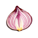 Onion search engine