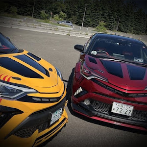 C-HR NGX10