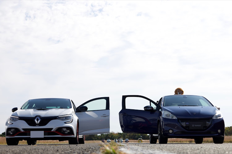 208のプジョー・南紀白浜イタフラピクニック・フランス車・ドアオープンショット・ダブルドアオープンショットに関するカスタム事例の投稿画像2枚目