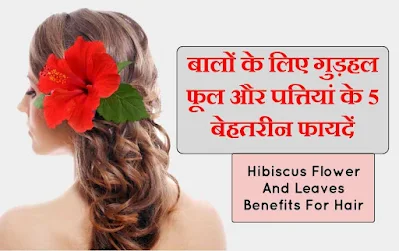 how to use hibiscus flower for hair (बालों के लिए गुड़हल के फूल का उपयोग कैसे करें)