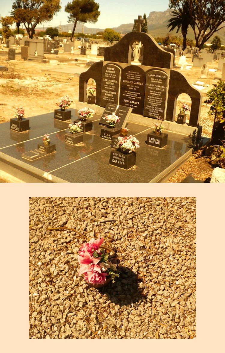 TOP: A typical family grave. BOTTOM: A flower blown from a grave.