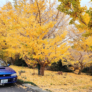 インプレッサ WRX STI GC8