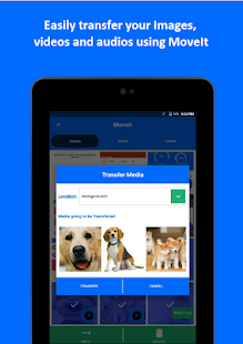 MoveIt: Move Media to SD Card Screenshot