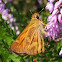 Woodland skipper