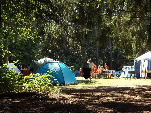 researching the area to help in dealing with wildlife while camping