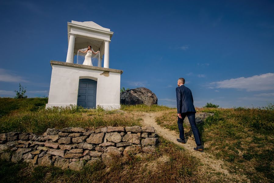 Hochzeitsfotograf Bence Pányoki (panyokibence). Foto vom 25. Mai 2016