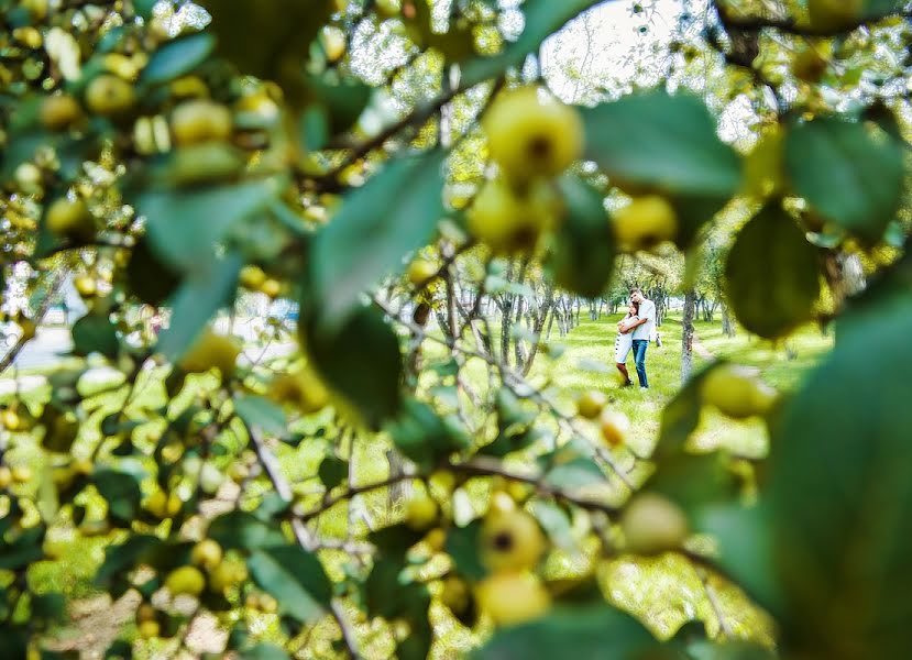 Wedding photographer Elena Milostnykh (shat-lav). Photo of 13 October 2013