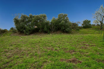 terrain à Caunes-Minervois (11)