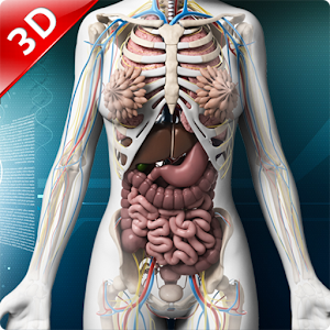 تحميل Human 3d Anatomy Organs And Bones Apk أحدث إصدار 1 0 4