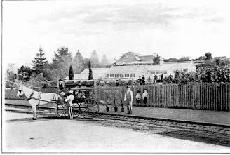 The nursery of Messrs. Taylor & Sangster on Toorak Road