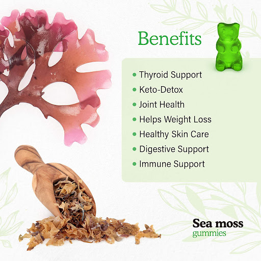Title 3, Seaweed Fudge Indulge in Delicious and Nutritio...