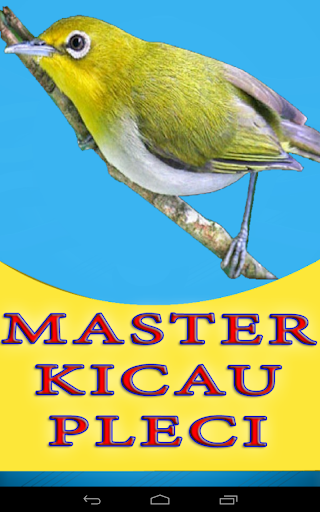 Kicau Burung Pleci Gacor