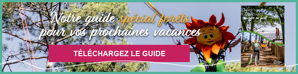 Téléchargez le guide spécial forêt à Bisca Grands Lacs