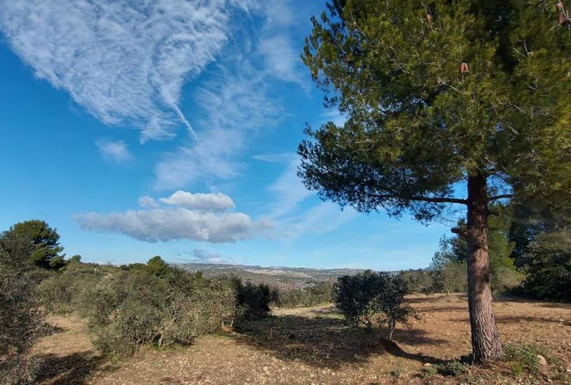  Vente Terrain à bâtir - 40 000m² à Mouriès (13890) 