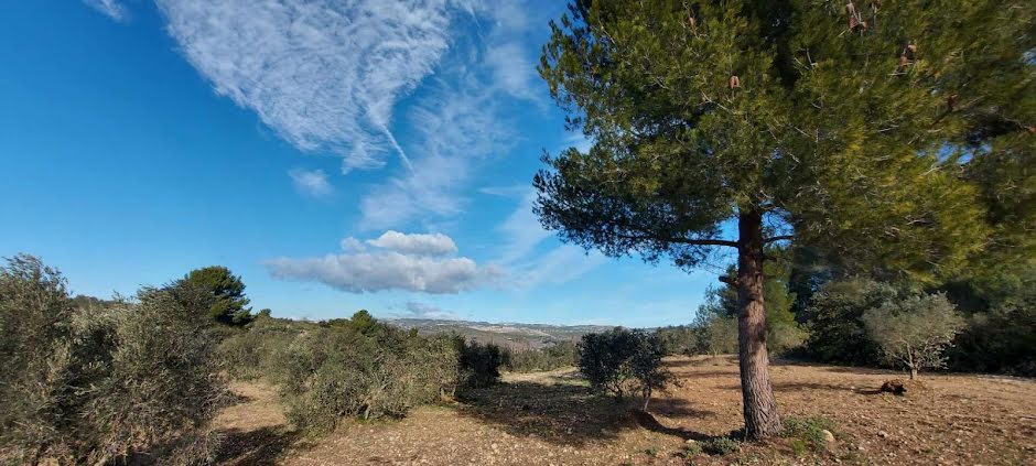 Vente terrain  40000 m² à Mouriès (13890), 285 000 €