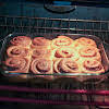 Thumbnail For Cinnamon Rolls Baking In The Oven.