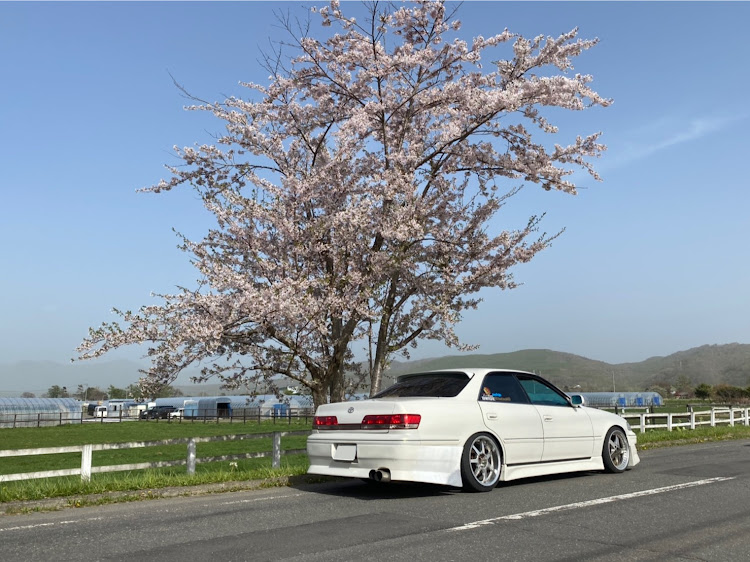 マークIIのドライブ・さくらとコラボに関するカスタム事例の投稿画像2枚目