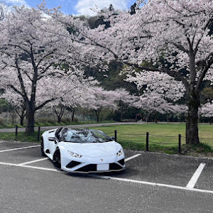 ウラカン EVO RWD スパイダー