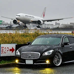 シーマ HGY51