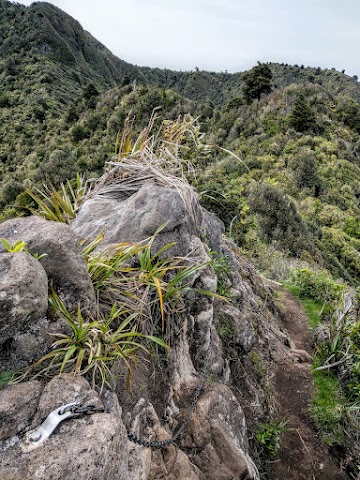 Mount Karioi Summit Track