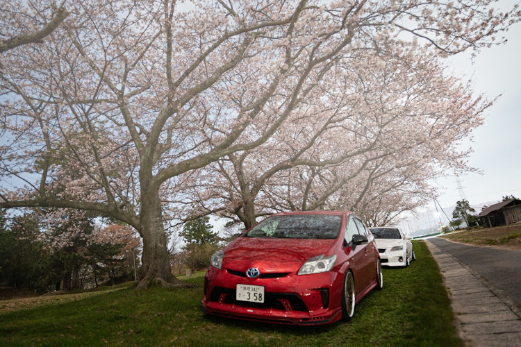 プリウスの夜桜コラボ・桜と愛車・桜シーズン開幕・天の川に関するカスタム事例の投稿画像3枚目