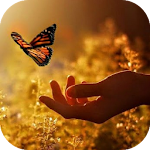 Cover Image of ดาวน์โหลด Life Quotes 1.2 APK