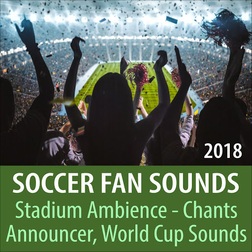 Goal! Football Stadium Noise, Crowd Screams, Clapping, Catching Noises, Catching Song YouTube