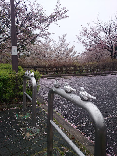 城山公園 小鳥の一休み