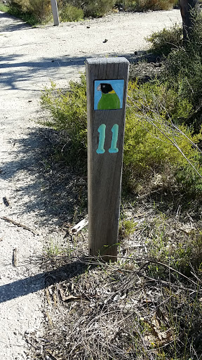 Landsdale Conservation Park Path Marker 11