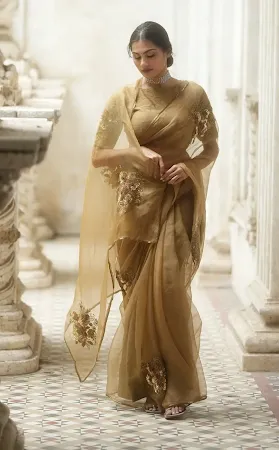 organza saree