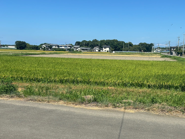 ヴェゼルの稲刈りに関するカスタム事例の投稿画像2枚目