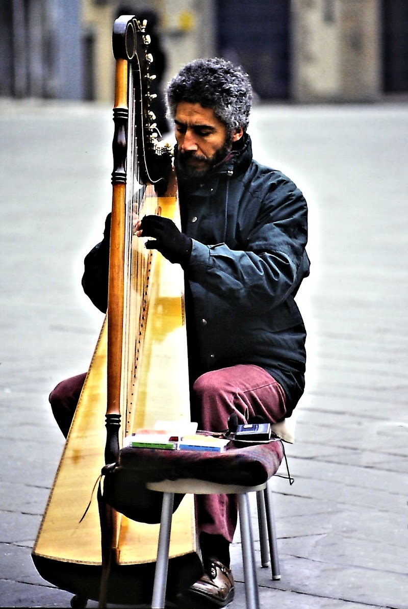 l'arpa solitaria di ruggeri alessandro