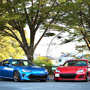 BRZ ZC6