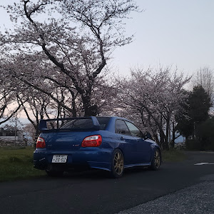 インプレッサ WRX STI GDB