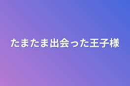 たまたま出会った王子様