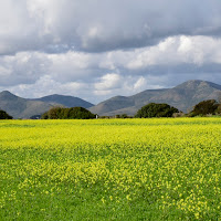 Paesaggio di 