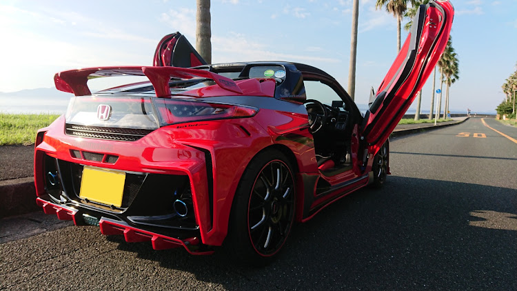 S660のドライブ・ガマフォルニア・バックヤードスペシャル・ガルウイングに関するカスタム事例の投稿画像1枚目