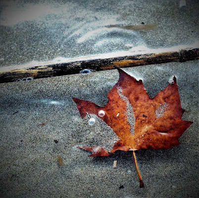 Autunno in mare di pattylane