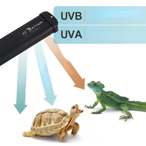 images slider number - 2