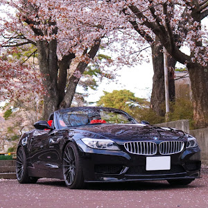 Z4 E89