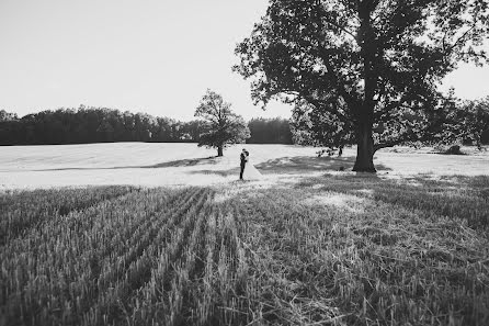 Photographe de mariage Nastya Dubrovina (nastyadubrovina). Photo du 26 février 2016