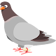 Download Pigeon Mission For PC Windows and Mac 1.0.1