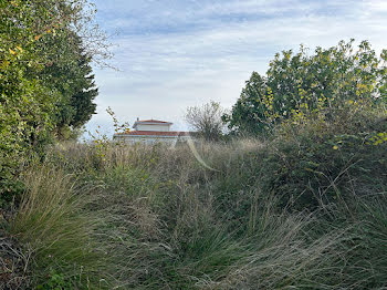 terrain à Villasavary (11)