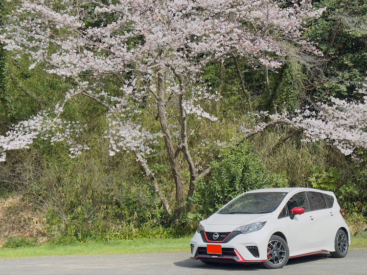 ノートのノートニスモ・ノートe-POWER NISMO・サクラと愛車・桜×愛車に関するカスタム事例の投稿画像1枚目